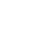 Pet Ürünleri
